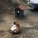옆집이모 이미지