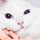 원메디랩 이미지