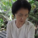 나비농장 이미지