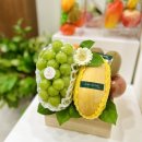 과담진 | 양정 과일우드상자 과일우드박스 명절선물세트 설날 과일바구니 과일선물세트 / 과담진 과일담는진시니네