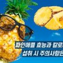 파인애플 이미지