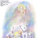 오차원 이미지
