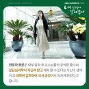 서울상담심리대학원대학교 이미지