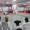 국제태권도장(태권) 이미지