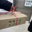 돔수산,정육 | 가락수산시장 맛집 회포장 단골추천 대박수산