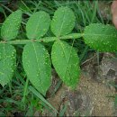 골프장둘레길 이미지