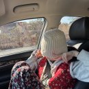 양평외갓집펜션 | 양평 가볼만한곳 삼시세끼 다 주는 역대급 가성비 촌캉스 외갓집체험마을 겨울 데이트