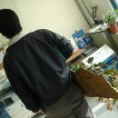 창석농장 이미지