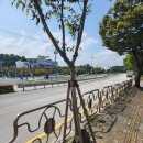 제우스 스크린 골프 | 파크골프채 후기 리뷰 파크골프용품 여주매장에서 방문구매