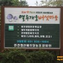 열두개울버섯마을