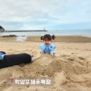 태안 학암포해수욕장 서해바다 모래놀이 수산시장