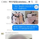 케이크닿음 이미지