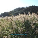 용난굴해수욕장 Daum카페