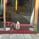 대흥어린이공원 | [25. 5월 - 1]