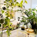 카페 워크샵(cafe workshop) 이미지