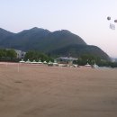 정선산나물 - 정선군 재동길 187 | 정선산나물