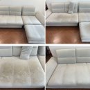 사하라동물병원 | 동대문구 휘경동 소파 청소 후기 &#39;내가제일깨끗해&#39;