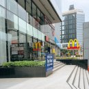 태국 방콕여행, 팀홀튼 도넛 카페에서 브런치 먹고 일하기 Tim Hortons