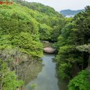 [부산여행/부산가볼만한곳] 산책하기 좋고 나들이 가기 좋은 "부산어린이대공원" 이미지