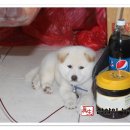 풍산농장 이미지