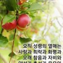 샬롬 이미지