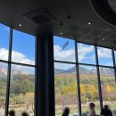 도산로-2 이미지