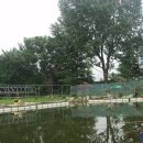 내촌낚시터 이미지