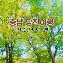 우체국 옆(버스터미널)(G420) | 충남 당진 가볼만한곳 레트로 감성여행 면천읍성 포토스팟 꿀팁