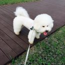 명당아트윈