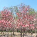 향원농장 이미지