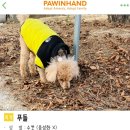 포인사이트 이미지