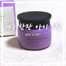 제주의 한란 | 이니스프리 제주 한란 아이 크림 내돈내산 찐후기