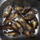 능양민박 이미지