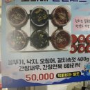 소희네집젓갈