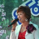 홍도야 울지마라 - 가수 김성숙 이미지