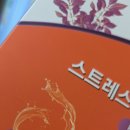 스트레스와 정신건강 | 스트레스와 간건강을 위한 올인원 샷 후기 [나우푸드코리아 스트레스와 피로 개선 &amp; 간 건강 면역...