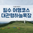 9월9일 착한가격 가을마중 파아란하늘 이국적 풍경 과 천년의 숲 힐링한번 하려갈가요~? 이미지