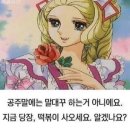 솔이네아구찜 | 뭐 별거 읎다 (ft. 손흥민축구직관 | 스타벅스 헬로키티 | 로히드 솔이네 | 디오디너리 | 장모집 감자탕)