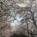 금강산면옥 이미지