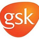 트윈스A 이미지