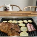 미스터와이 애견풀빌라 이미지