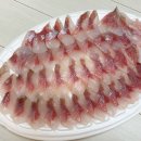 [대구 맛집] 배달회맛집 싱싱회수산 최강물회 본점 밀치회 내돈내산 후기