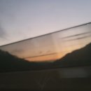 디자인001