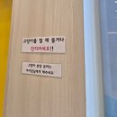 아이캣유 | 양주 옥정 고양이까페/ 아이캣유 양주점 방문후기