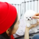 스타미용타운 이미지