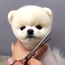 올리스 일산백석점 이미지
