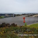 서귀포365부동산중개 | 대정읍 영락리 바당미술관 제주 돌고래 스팟 수애기 베이커리 대정읍 일과리 영락리 토지매매