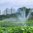 오천그린광장 이미지