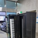 부산장애인종합회관 네이버블로그