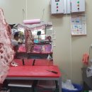 신도매 푸줏간. 남편 친구가 운영하는 정육점 다녀왔어요